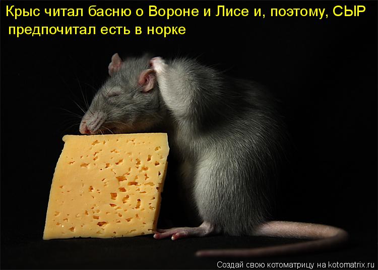 предпочитал есть в норке Крыс читал басню о Вороне и Лисе и, поэтому, СЫР... Котоматрица: предпочитал есть в норке Крыс читал басню о Вороне и Лисе и, поэтому, СЫР