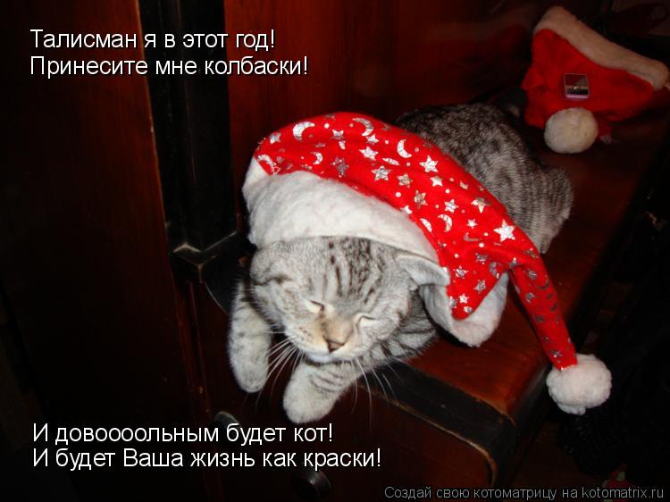 Котоматрица: Талисман я в этот год! Принесите мне колбаски! И довоооольным будет кот! И будет Ваша жизнь как краски!