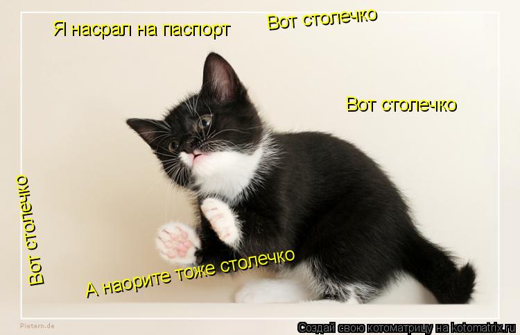 Котоматрица: Я насрал на паспорт Вот столечко Вот столечко Вот столечко А наорите тоже столечко
