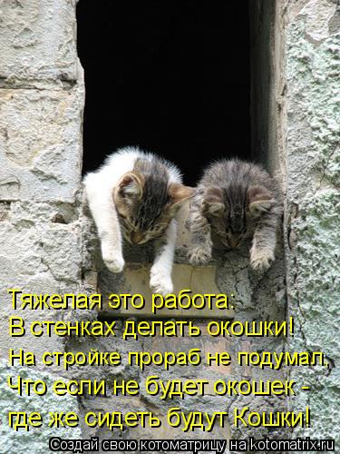 Котоматрица: Тяжелая это работа: В стенках делать окошки! На стройке прораб не подумал, Что если не будет окошек - где же сидеть будут Кошки!