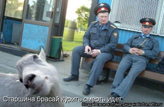 Котоматрица: Старшина брасай курить смерть идет.