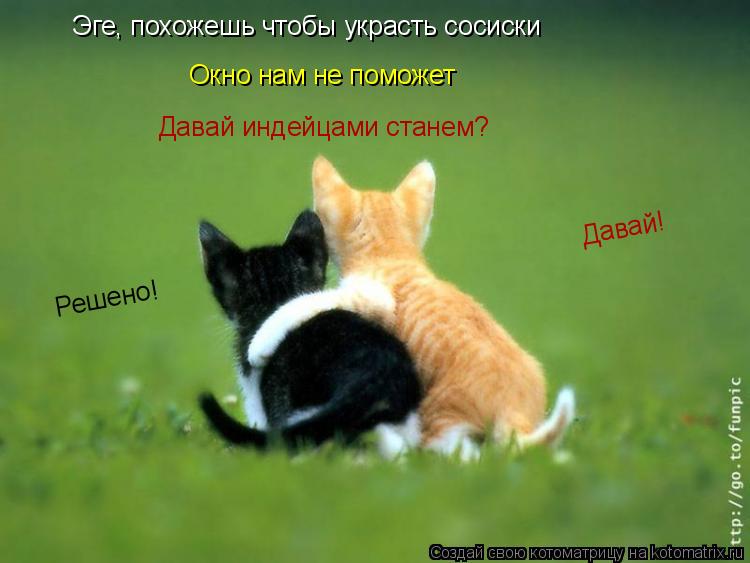 Котоматрица: Эге, похожешь чтобы украсть сосиски Окно нам не поможет Давай индейцами станем? Давай! Решено!