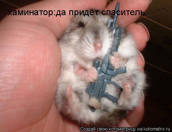 Котоматрица: хаминатор:да придёт спаситель