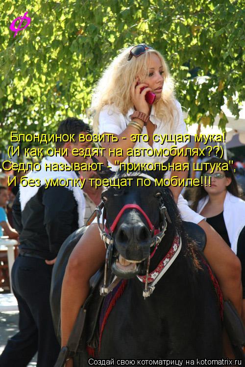 Блондинок возить - это сущая мука! (И как они ездят на автомобилях??) Седло называют - "прикольная шт... Котоматрица: Блондинок возить - это сущая мука! (И как они ездят на автомобилях??) Седло называют - "прикольная штука", И без умолку трещат по мобиле!!!