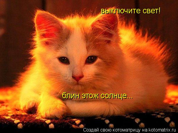 Котоматрица: выключите свет! блин этож солнце...