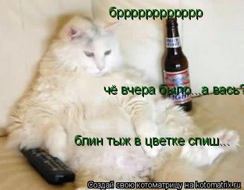 Котоматрица: брррррррррррр чё вчера было...а вась? блин тыж в цветке спиш...