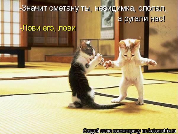 Котоматрица: -Значит сметану ты, невидимка, слопал,  а ругали нас! -Лови его, лови