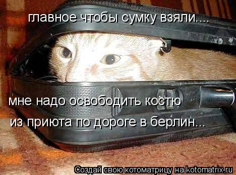 Котоматрица: главное чтобы сумку взяли.... мне надо освободить костю  из приюта по дороге в берлин...