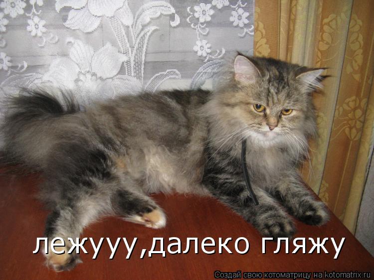 Котоматрица: лежууу,далеко гляжу