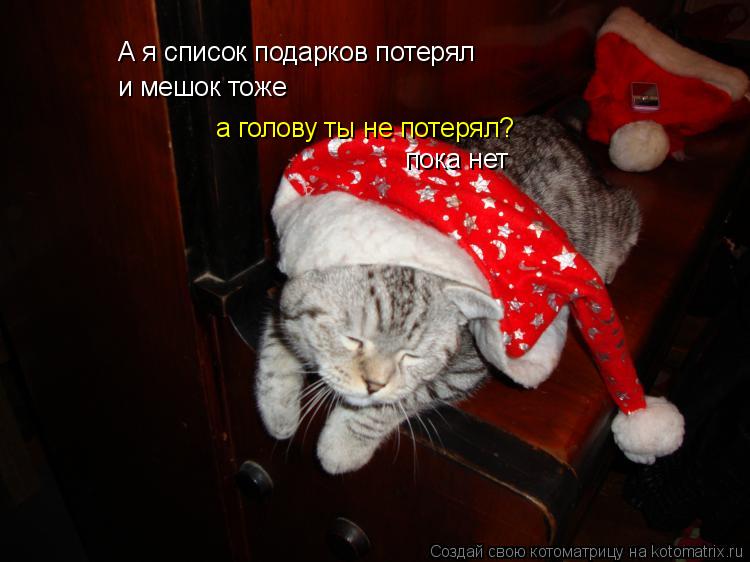 Котоматрица: А я список подарков потерял и мешок тоже а голову ты не потерял? пока нет