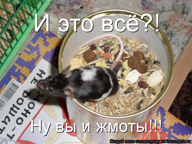 Котоматрица: И это всё?! Ну вы и жмоты!!!