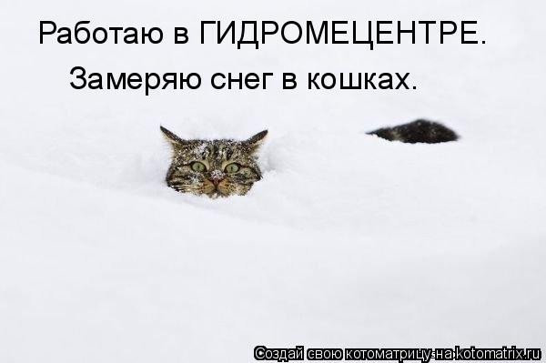 Котоматрица: Работаю в ГИДРОМЕЦЕНТРЕ. Замеряю снег в кошках.