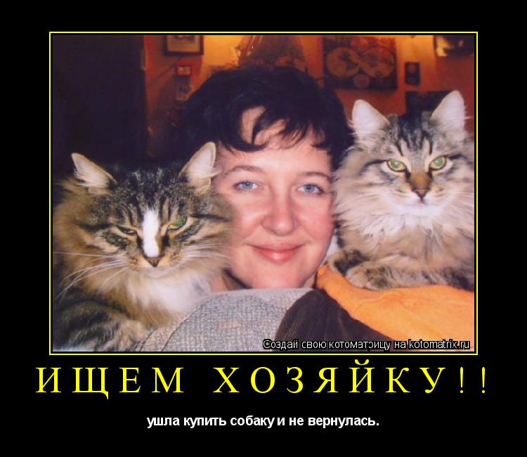 Котоматрица: Ищем Хозяйку!! ушла купить собаку и не вернулась.