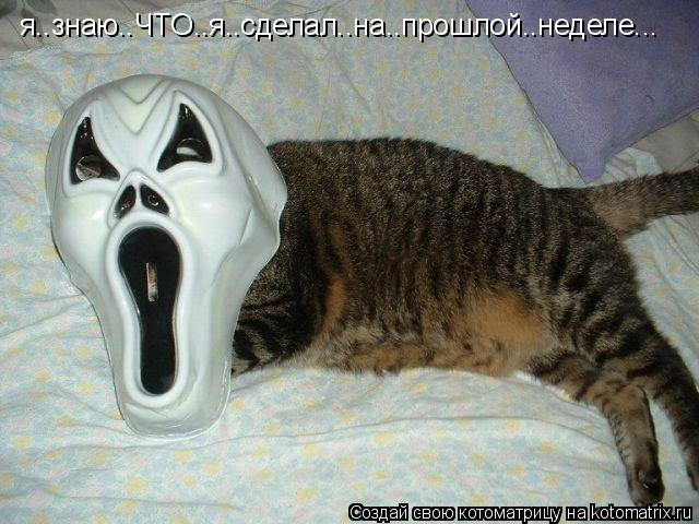 Котоматрица: я..знаю..ЧТО..я..сделал..на..прошлой..неделе...