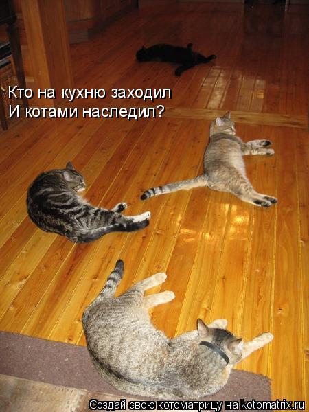 Котоматрица: Кто на кухню заходил И котами наследил?