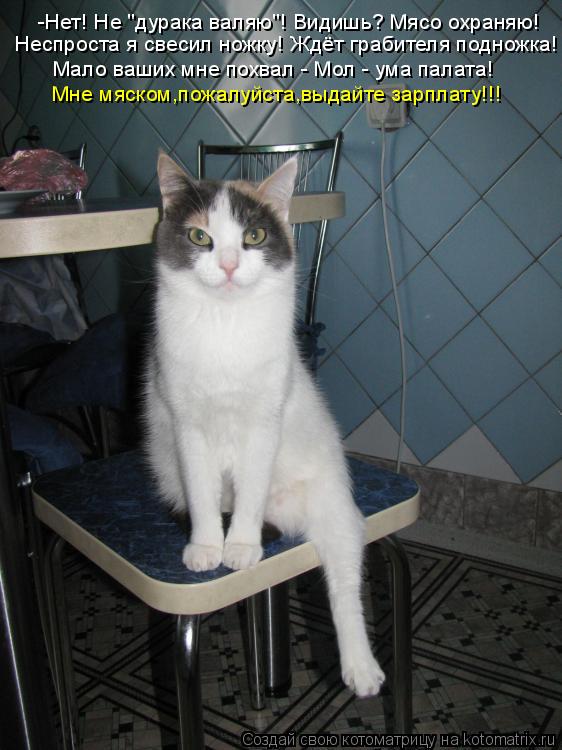 -Нет! Не "дурака валяю"! Видишь? Мясо охраняю! Неспроста я свесил ножку! Ждёт грабителя подножка! Мал... Котоматрица: -Нет! Не "дурака валяю"! Видишь? Мясо охраняю! Неспроста я свесил ножку! Ждёт грабителя подножка! Мало ваших мне похвал - Мол - ума палата! Мне м