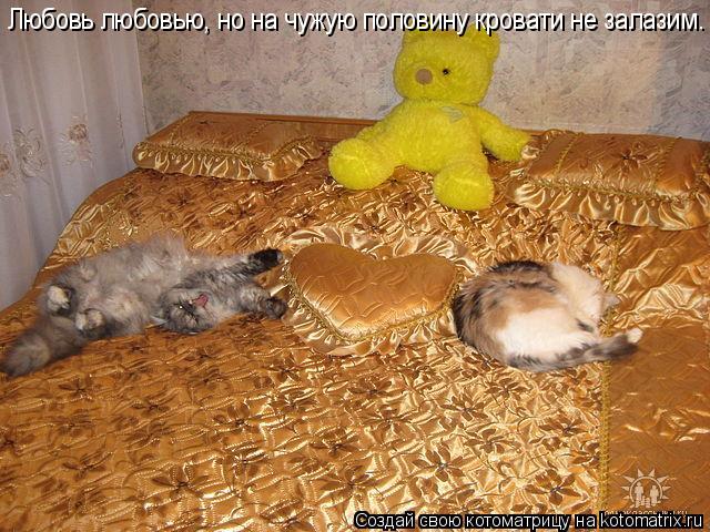 Котоматрица: Любовь любовью, но на чужую половину кровати не залазим.