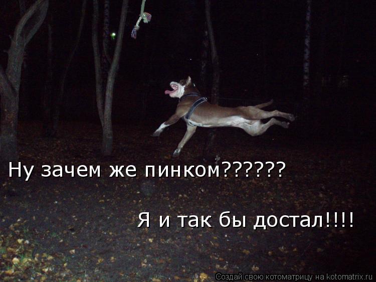 Котоматрица: Ну зачем же пинком?????? Я и так бы достал!!!!