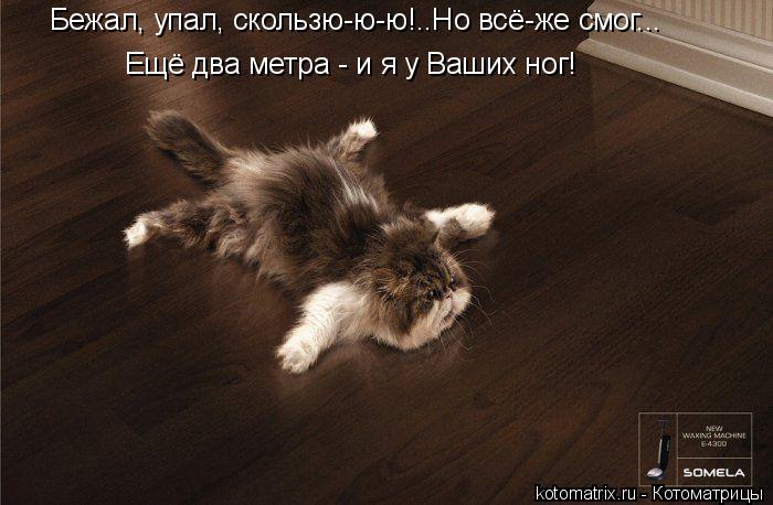 http://kotomatrix.ru/images/lolz/2010/01/17/460501.jpg