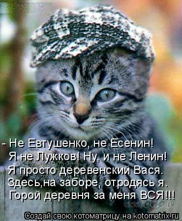 Котоматрица: - Не Евтушенко, не Есенин! Я не Лужков! Ну, и не Ленин! Я просто деревенский Вася. Здесь,на заборе, отродясь я. Горой деревня за меня ВСЯ!!!