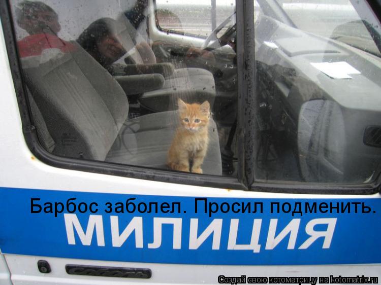 Котоматрица: Барбос заболел. Просил подменить.