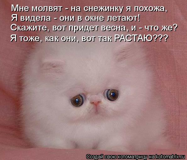 Мне молвят - на снежинку я похожа, Я видела - они в окне летают! Скажите, вот придет весна, и - что ж... Котоматрица: Мне молвят - на снежинку я похожа, Я видела - они в окне летают! Скажите, вот придет весна, и - что же? Я тоже, как они, вот так РАСТАЮ???