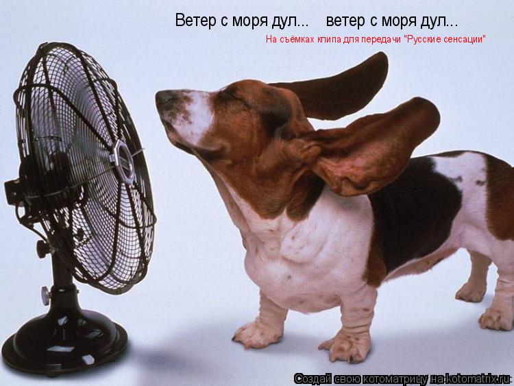 Котоматрица: Ветер с моря дул...    ветер с моря дул... На съёмках клипа для передачи "Русские сенсации"