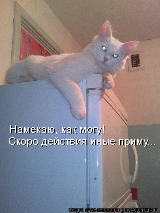 Котоматрица: Намекаю, как могу! Скоро действия иные приму...