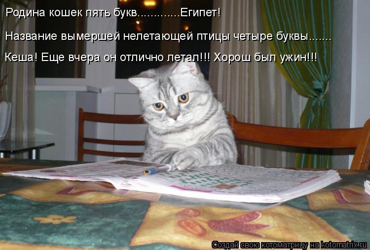 Название вымершей нелетающей птицы четыре буквы....... Кеша! Еще вчера он отлично летал!!! Хорош был ... Котоматрица: Название вымершей нелетающей птицы четыре буквы....... Кеша! Еще вчера он отлично летал!!! Хорош был ужин!!! Родина кошек пять букв.............Египет