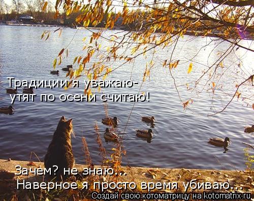 Котоматрица: Наверное я просто время убиваю... Зачем? не знаю... утят по осени считаю! Традиции я уважаю-