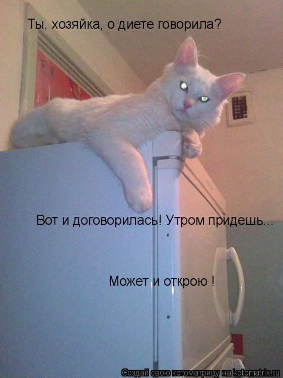 Ты, хозяйка, о диете говорила? Может и открою ! Вот и договорилась! Утром придешь...... Котоматрица: Ты, хозяйка, о диете говорила? Может и открою ! Вот и договорилась! Утром придешь...