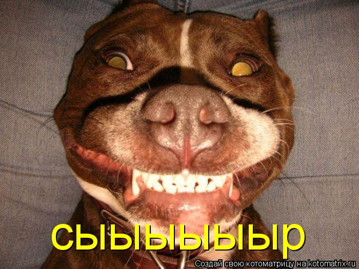сыыыыыыр... Котоматрица: сыыыыыыр