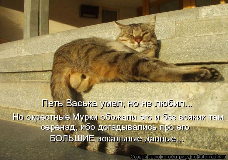 Петь Васька умел, но не любил... Но окрестные Мурки обожали его и без всяких там серенад, ибо догады... Котоматрица: Петь Васька умел, но не любил... Но окрестные Мурки обожали его и без всяких там серенад, ибо догадывались про его БОЛЬШИЕ вокальные данные..