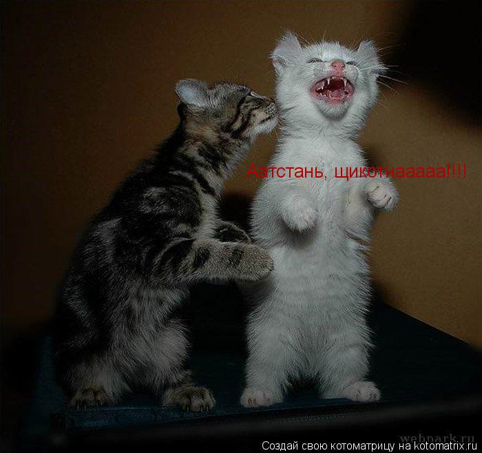 Аатстань, щикотнааааа!!!!... Котоматрица: Аатстань, щикотнааааа!!!!