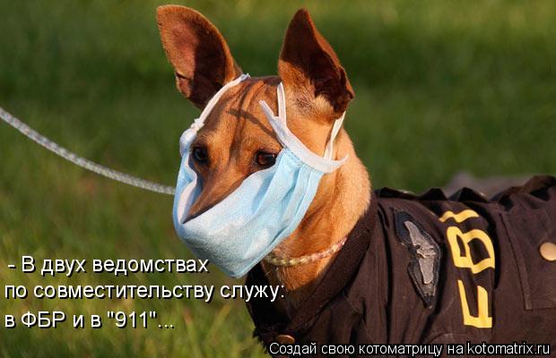 - В двух ведомствах по совместительству служу: в ФБР и в "911"...... Котоматрица: - В двух ведомствах по совместительству служу: в ФБР и в "911"...