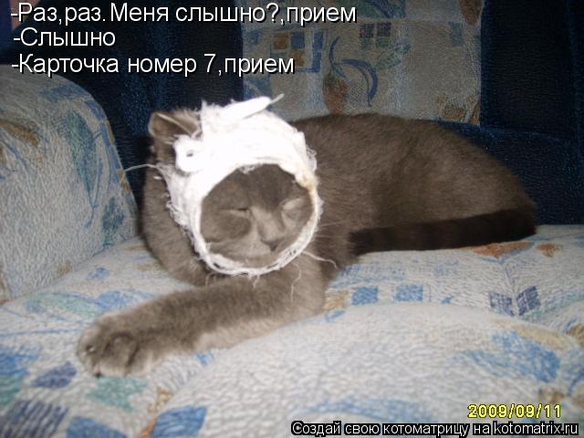 Котоматрица: -Слышно -Карточка номер 7,прием -Раз,раз.Меня слышно?,прием
