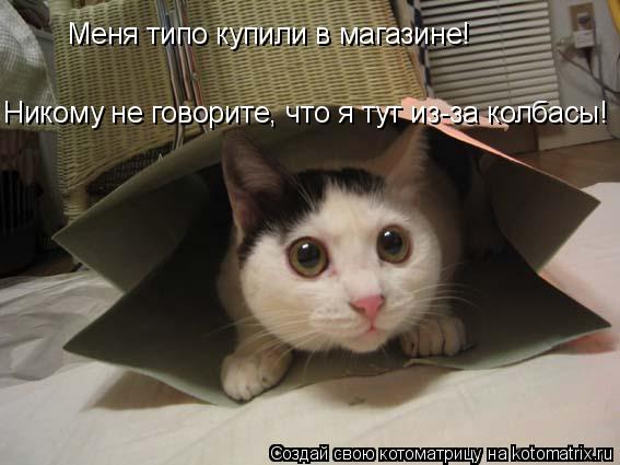 Котоматрица: Меня типо купили в магазине! Никому не говорите, что я тут из-за колбасы!