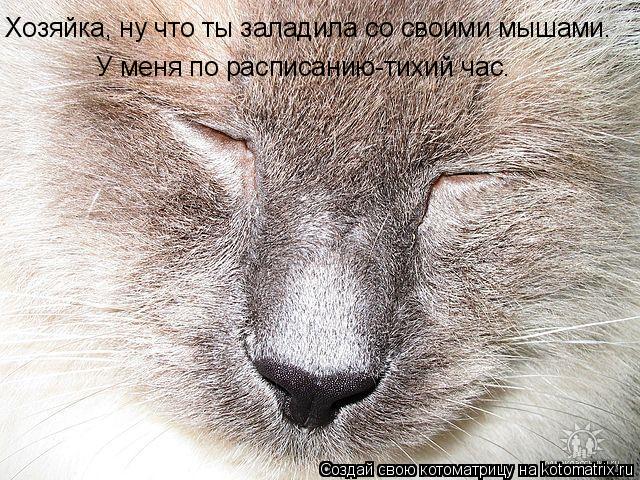 Котоматрица: Хозяйка, ну что ты заладила со своими мышами.  У меня по расписанию-тихий час.