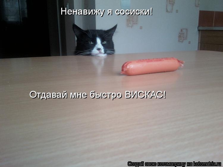 Котоматрица: Ненавижу я сосиски! Отдавай мне быстро ВИСКАС!