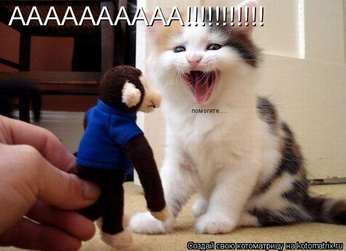 Котоматрица: помогите.... АААААААААА!!!!!!!!!!!