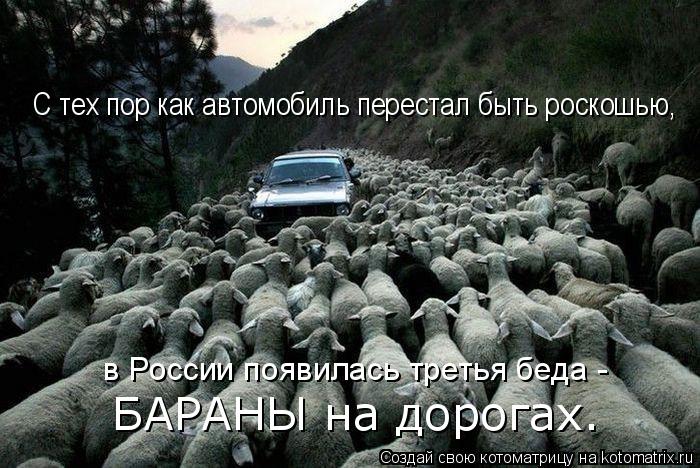 Котоматрица: С тех пор как автомобиль перестал быть роскошью, в России появилась третья беда - БАРАНЫ на дорогах.