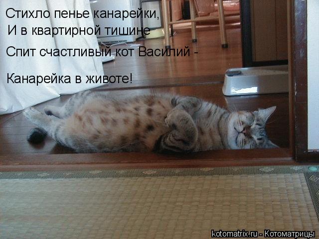 Котоматрица: Стихло пенье канарейки, И в квартирной тишине Спит счастливый кот Василий -  Канарейка в животе!