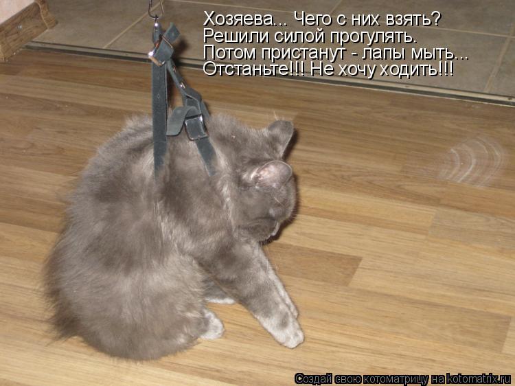Котоматрица: Хозяева... Чего с них взять? Решили силой прогулять. Потом пристанут - лапы мыть... Отстаньте!!! Не хочу ходить!!!
