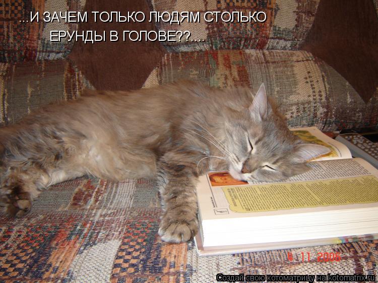 Котоматрица: ...И ЗАЧЕМ ТОЛЬКО ЛЮДЯМ СТОЛЬКО ЕРУНДЫ В ГОЛОВЕ??....