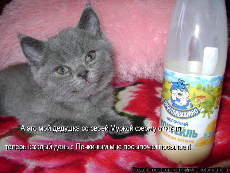 Котоматрица: А это мой дедушка со своей Муркой ферму открыл,  теперь каждый день с Печкиным мне посылочки посылает!