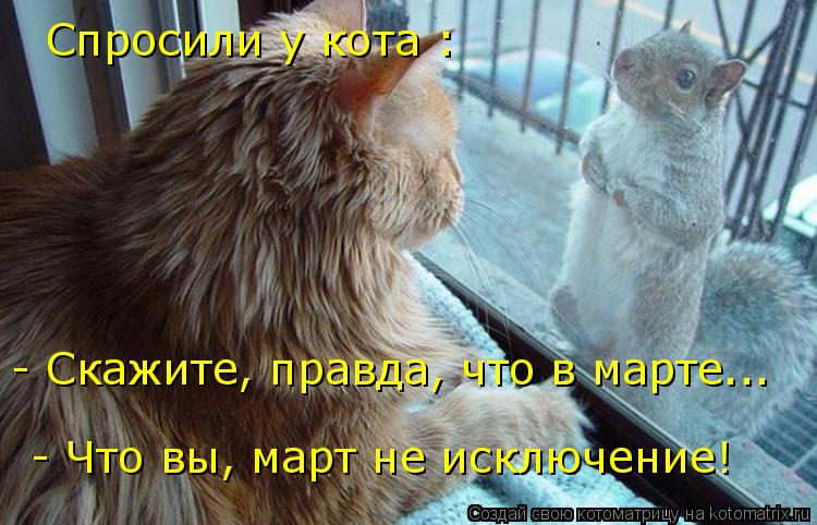 Котоматрица: Спросили у кота : - Скажите, правда, что в марте... - Что вы, март не исключение!