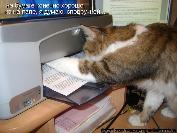 на бумаге конечно хорошо, но на лапе, я думаю, сподручней...... Котоматрица: на бумаге конечно хорошо, но на лапе, я думаю, сподручней...