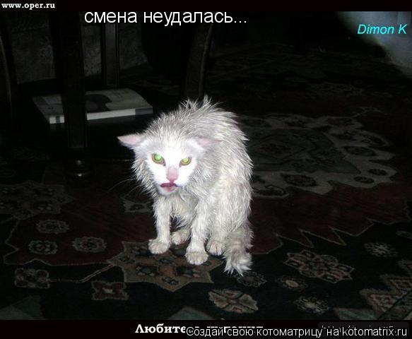 смена неудалась...... Котоматрица: смена неудалась...