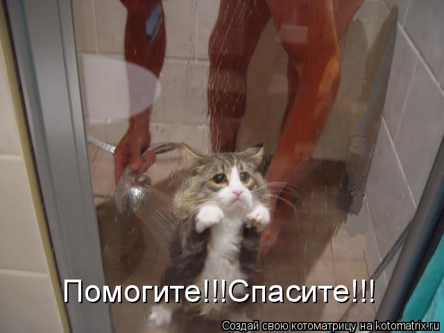 Помогите!!!Спасите!!!... Котоматрица: Помогите!!!Спасите!!!