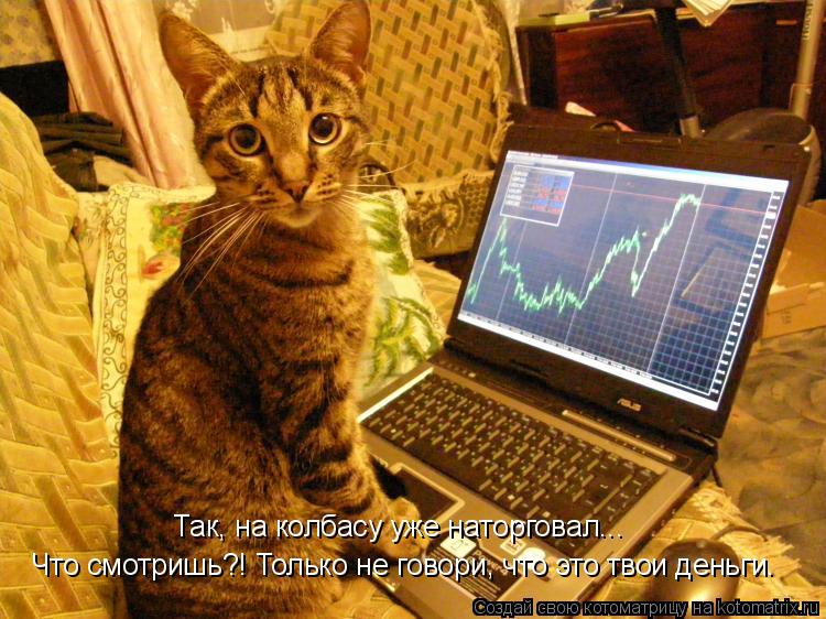 Что смотришь?! Только не говори, что это твои деньги. Так, на колбасу уже наторговал...... Котоматрица: Что смотришь?! Только не говори, что это твои деньги. Так, на колбасу уже наторговал...